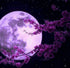 Full Moon Diamond Painting Kit